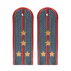 Погоны МВД Капитан вышитые золото (старого образца)