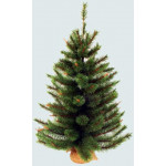 Сосна Триумф Сказочная в мешочке 73538 (90 см)