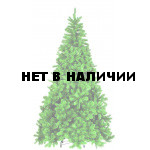 Сосна Триумф Санкт-Петербург 73580 (185 см)