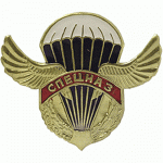 Нагрудный знак Спецназ металл