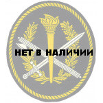 Нашивка на рукав УИС Учебные заведения пластик