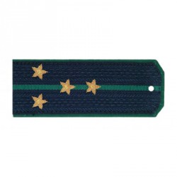 Погоны ПС ФСБ вышитые Капитан повседневные