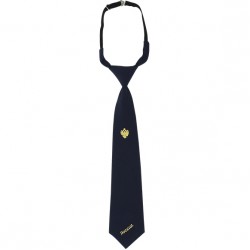 Галстук синий с вышивкой