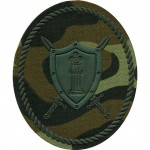 Нашивка на рукав УИС Спецназ камуфлированная пластик