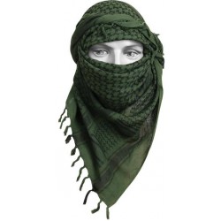 Арафатка (Шемаг) оазис