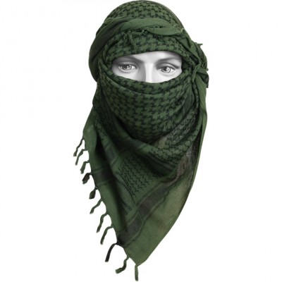 Арафатка (Шемаг) оазис