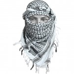 Арафатка (Шемаг) солончак