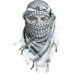 Арафатка (Шемаг) солончак