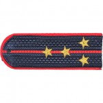 Погоны МВД Полиция Капитан вышитые золото