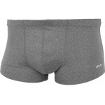 Трусы Russian Winter grey