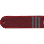 Погоны Роспотребнадзор 3 лычки тканые