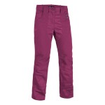 Брюки для активного отдыха Salewa 2016 FREA (HUBELLA) CO W PNT red onion