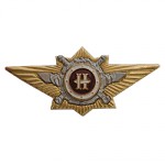 Нагрудный знак Классность о/с МВД "Наставник" металл