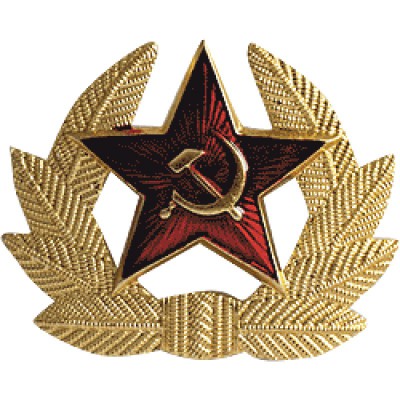 Кокарда СА в обрамлении металл