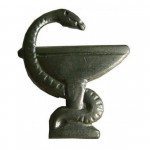 Эмблема петличная Медицинская служба нового образца полевая металл