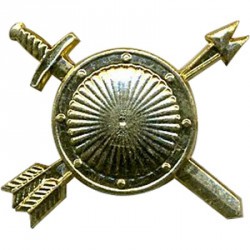 Эмблема петличная РВСН нового образца повседневная металл