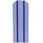 Погоны ФСБ на рубашку с 2 просветами