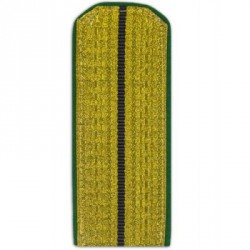 Погоны Береговая охрана ПС ФСБ Младшего офицерского состава парадные