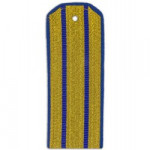 Погоны парадные ФСБ с 2 васильковыми просветами