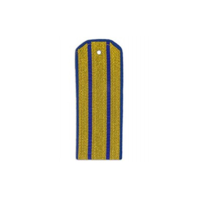 Погоны парадные ФСБ с 2 васильковыми просветами