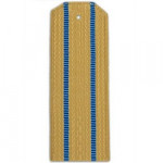 Погоны авиации ВМФ кремовые с 2 голубыми просветами