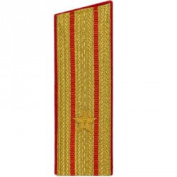 Погоны МО вышитые Майор парадные со скосом люрекс