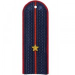 Погоны Полиции Мл.лейтенанта с вышитыми звездочками (пара)