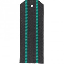 Погоны Береговая охрана ПС ФСБ Старшего офицерского состава