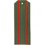 Погоны МО оливковые с 2 красными просветами