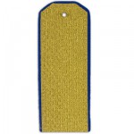 Погоны парадные ФСБ для рядового состава без просветов