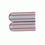 Погоны УИС Старшего офицерского состава на рубашку