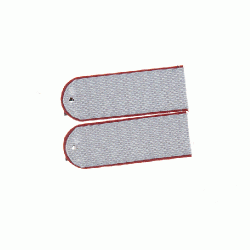 Погоны УИС Рядовой на рубашку