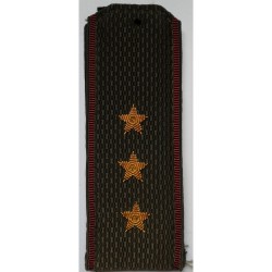 Погоны МО вышитые Старший прапорщик повседневные