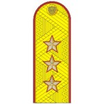 Погоны генерал-полковник ФСИН на китель парадные