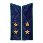 Погоны государственный советник юстиции 2 класса Прокуратура на китель повседневные