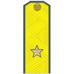 Погоны генерал-майор ФСБ на китель парадные метанит