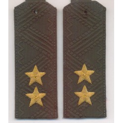 Погоны Росгвардия (ВВ МВД) генерал-лейтенант на зеленую рубашку повседневные