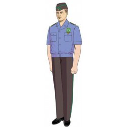 Рубашка Россельхознадзор с коротким рукавом (пошив по меркам)