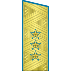 Погоны ВКС-ВВС-ВДВ генерал-полковник на китель парадные