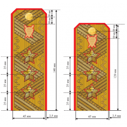 Погоны Следственный комитет генерал-полковник юстиции на китель золотые