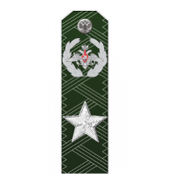 Погоны ФГГС действительный государственный советник РФ 1 класса повседневные