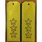 Погоны генерал-полковник ФСБ на китель парадные