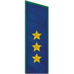 Погоны государственный советник юстиции 1 класса Прокуратура на китель повседневные