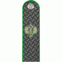 Погоны действительный государственный советник РФ 3 класса Россельхознадзор с хлястиком повседневные