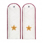 Погоны генерал-майор ФСИН на белую рубашку повседневные