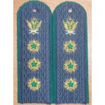 Погоны действительный государственный советник РФ 1 класса ФССП на рубашку повседневные