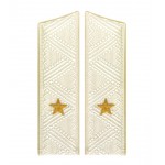 Погоны государственный советник юстиции 3 класса Прокуратура на китель парадные