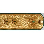 Погоны действительный государственный советник РФ 2 класса ФССП на китель парадные