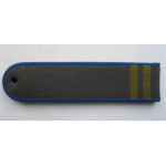 Погоны Ространснадзор 2 лычки тканые