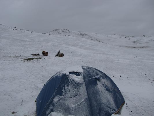 Схема Rondo 3 Plus